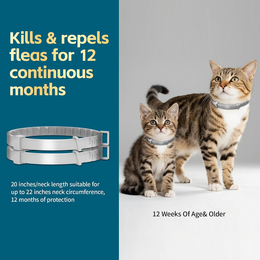 Flea and Tick Collar for Cat – 8-Month Protection