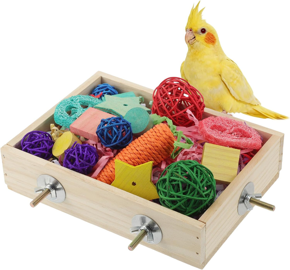 Bird Foraging Toys Box, Wooden Foraging for Bird, Wood Color M
