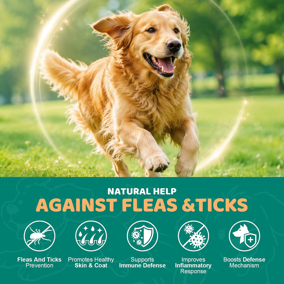 Flea and Tick Chews for Dogs, Natural Coat Care Nutritional Supplement