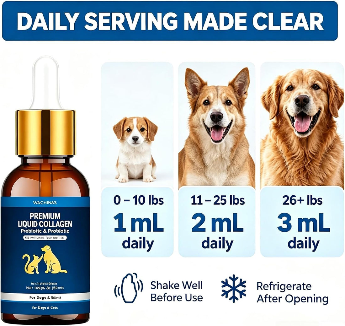 Premium Liquid Collagen & Probiotics for Dogs and Cats - Prebiotics