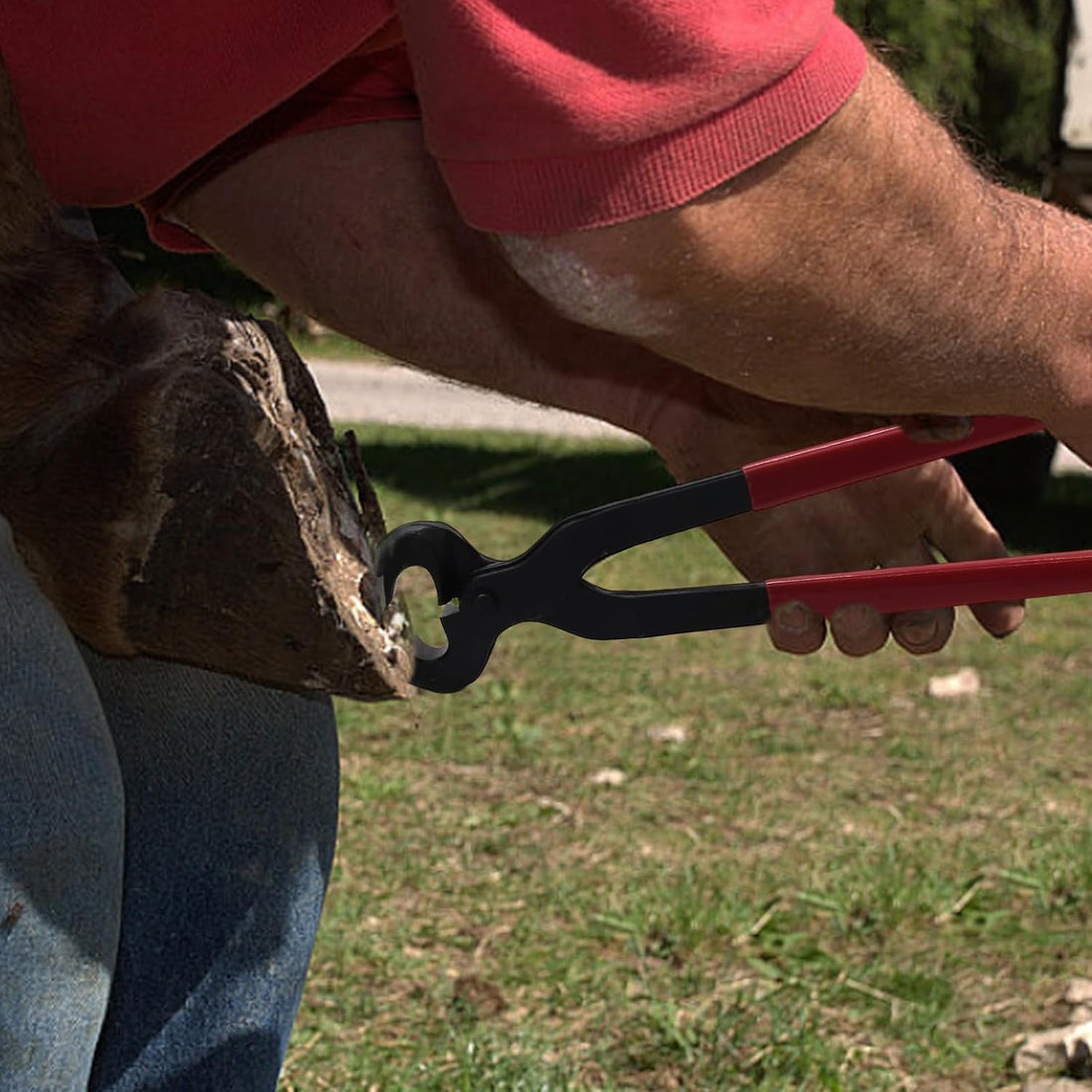 15 Inch Professional Horse Hoof Nipper Heavy Duty Hoof Nipper Farrier