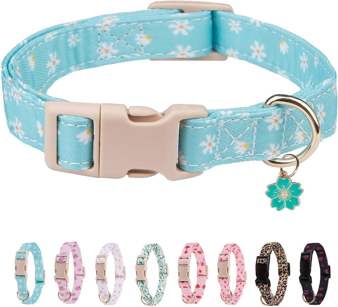 Dog Collar for Small, Medium & Large Dogs(PinkHeart,S)