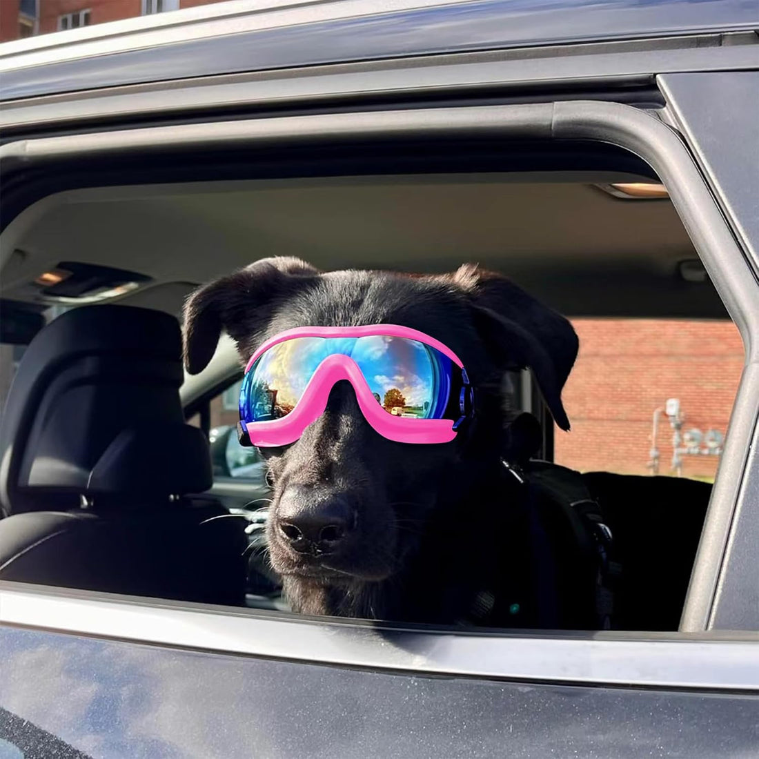 Dog Sunglasses for Large and Medium Breed, Dog Goggles for Large Dogs