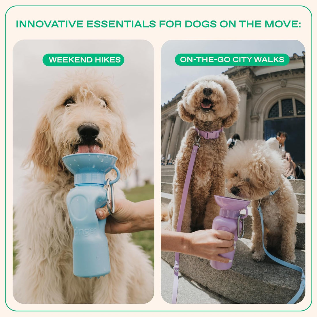 Springland Classic Portable Dog Water Bottle with Built-in Bowl