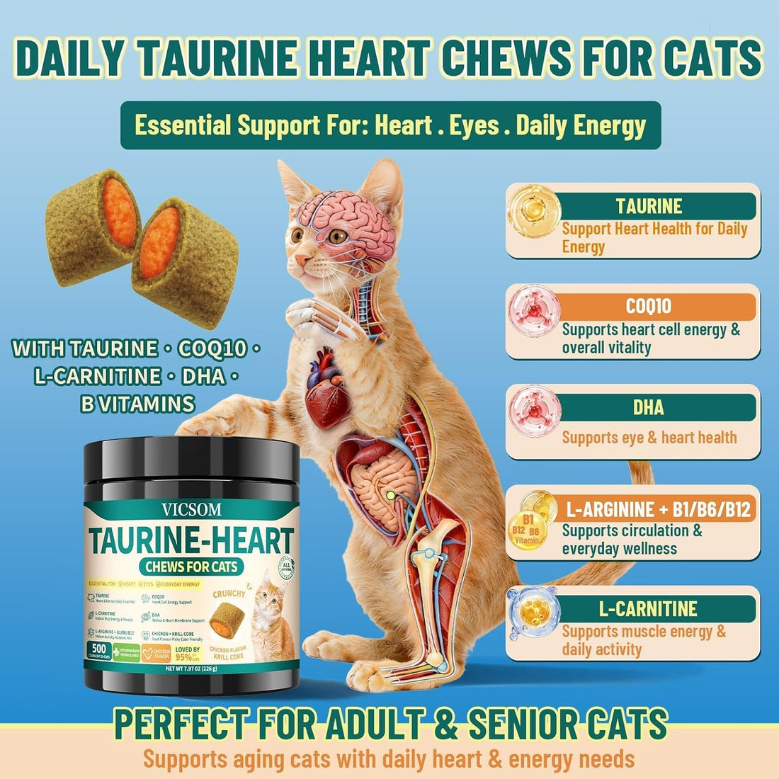 Taurine for Cats, CoQ10 for Cats