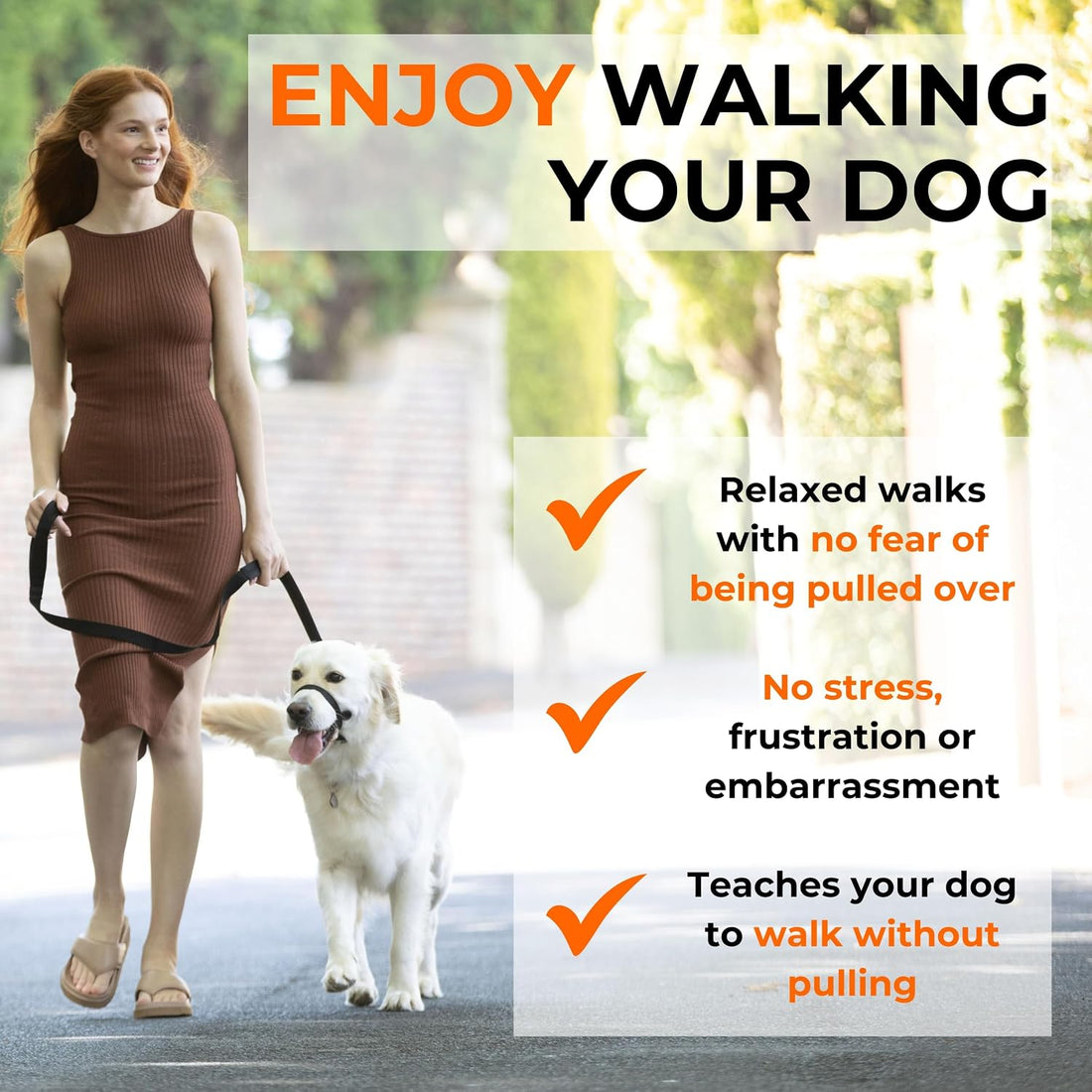 Canny Gentle No-Pull Dog Training Head Collar to Stop Pulling Black