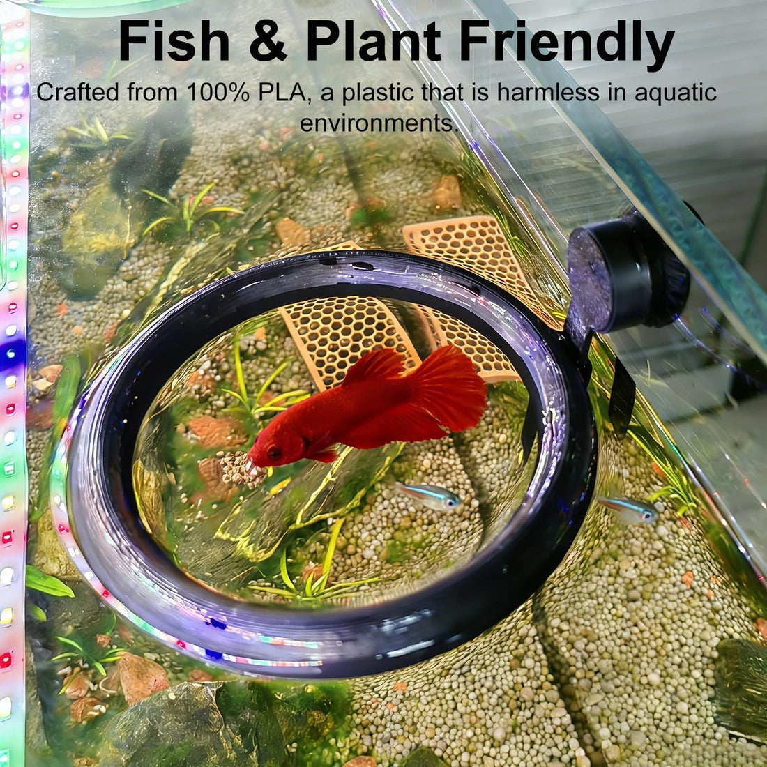 Aquarium Magnetic Fish Feeding Ring Automatic Floating Water Level