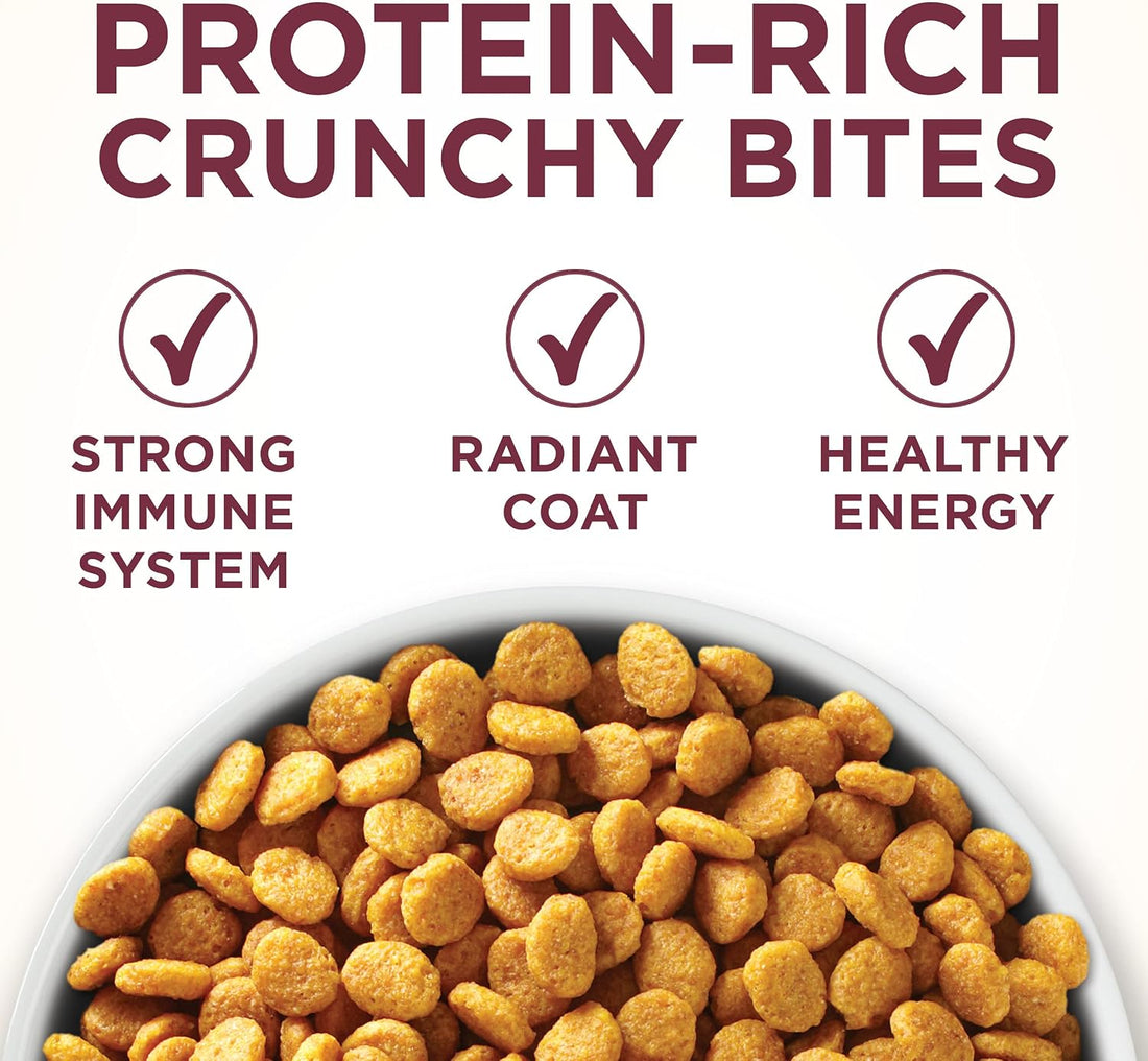 Purina ONE High Protein Dry Cat Food