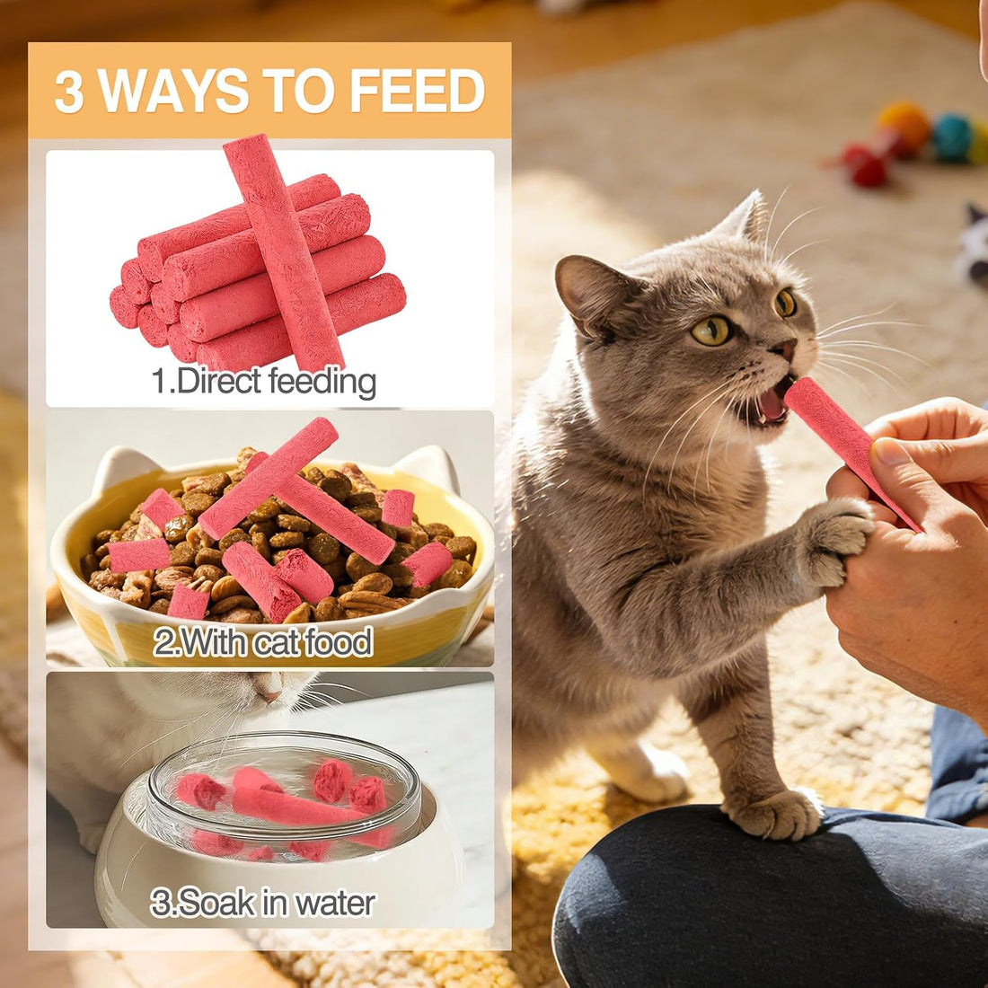 Packsy 100g/3.52oz Freeze-Dried Chicken & Dragon Fruit Sticks
