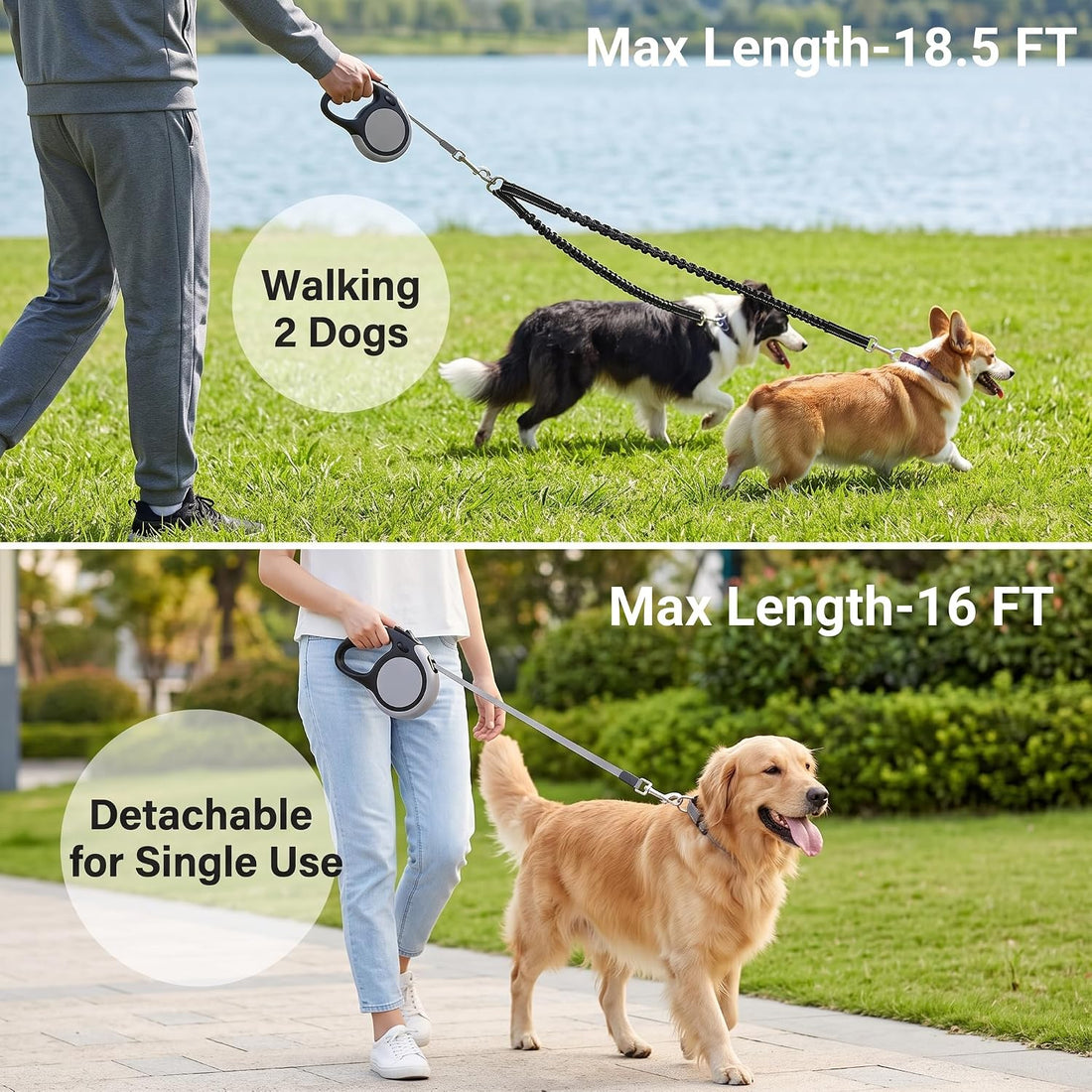 Dual Retractable Dog Leash for 2 Large Dogs