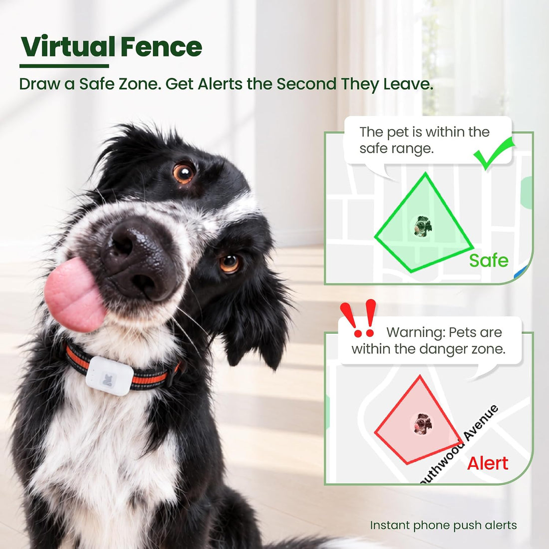 Dog Tracker GPS, Real Time Tracking & Virtual Fence 1-Year Service