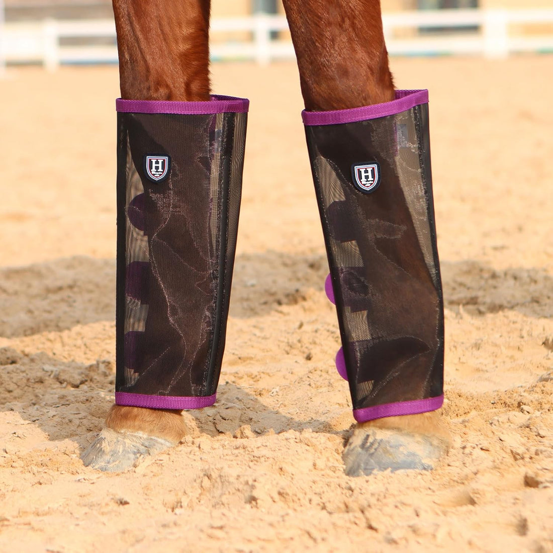 Harrison Howard Loose-Fitting Horse Fly Leggings Breathable