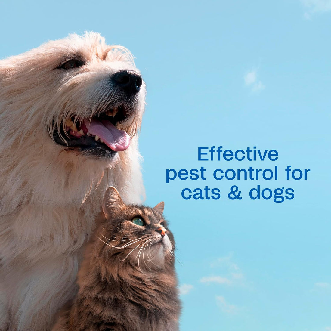 ADAMS Plus Flea & Tick Dog and Cat Spray, Kills Fleas & Ticks
