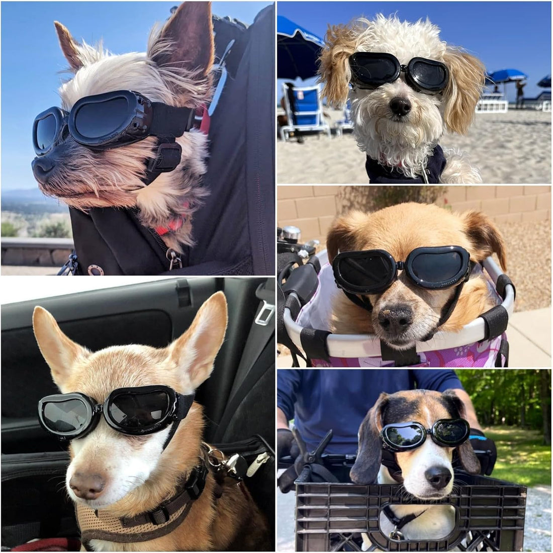 Enjoying Dog Goggles Small Breed, Dog Sunglasses UV Protection