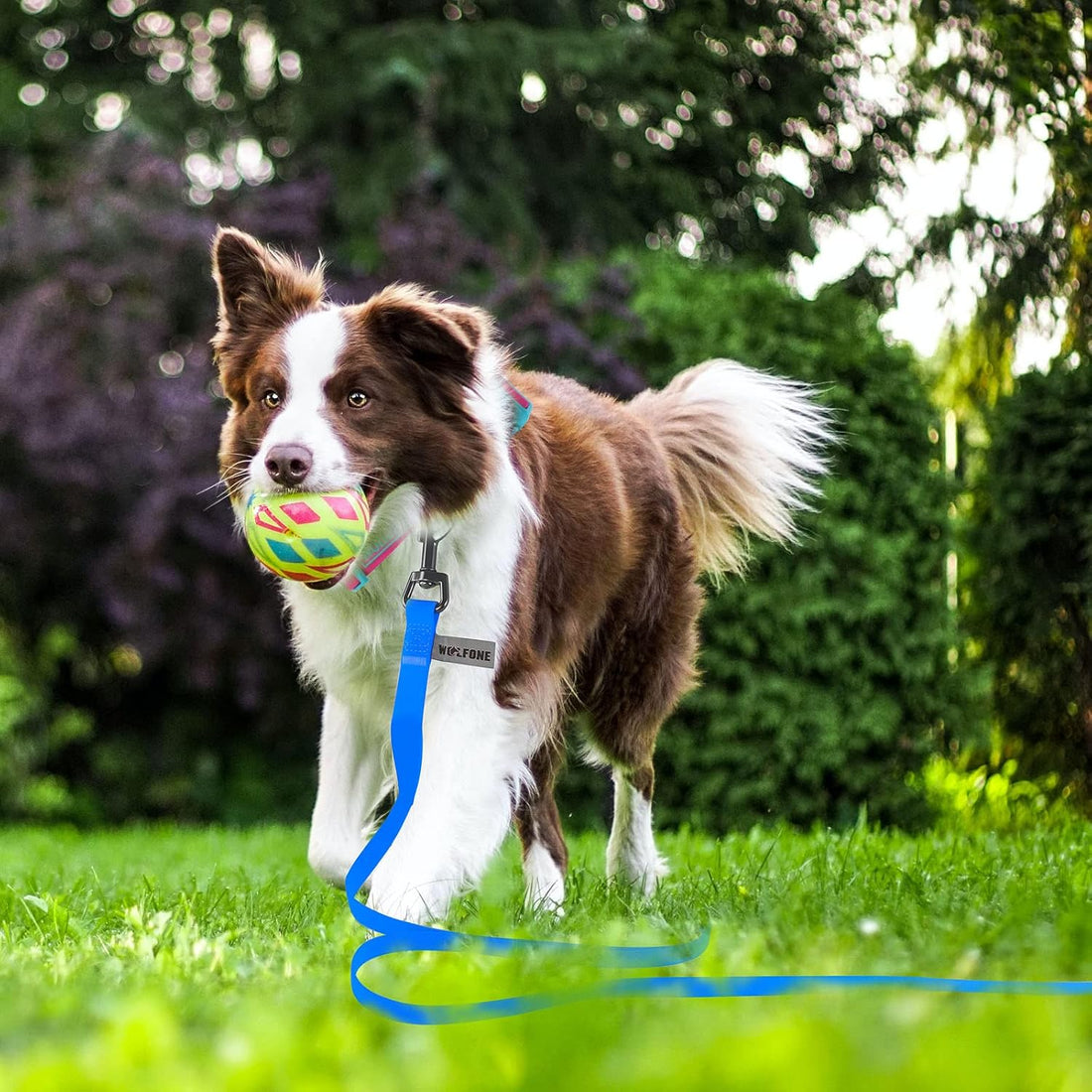 Wolfone Waterproof Dog Leash 20FT Long Line Recall Training Lead