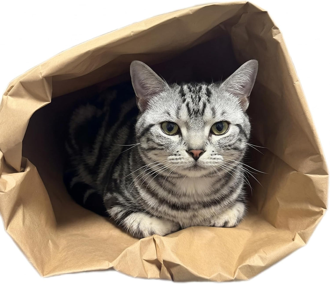 Durable Kraft Paper Cat Tunnel Bag for Indoor Cats & Small Pets