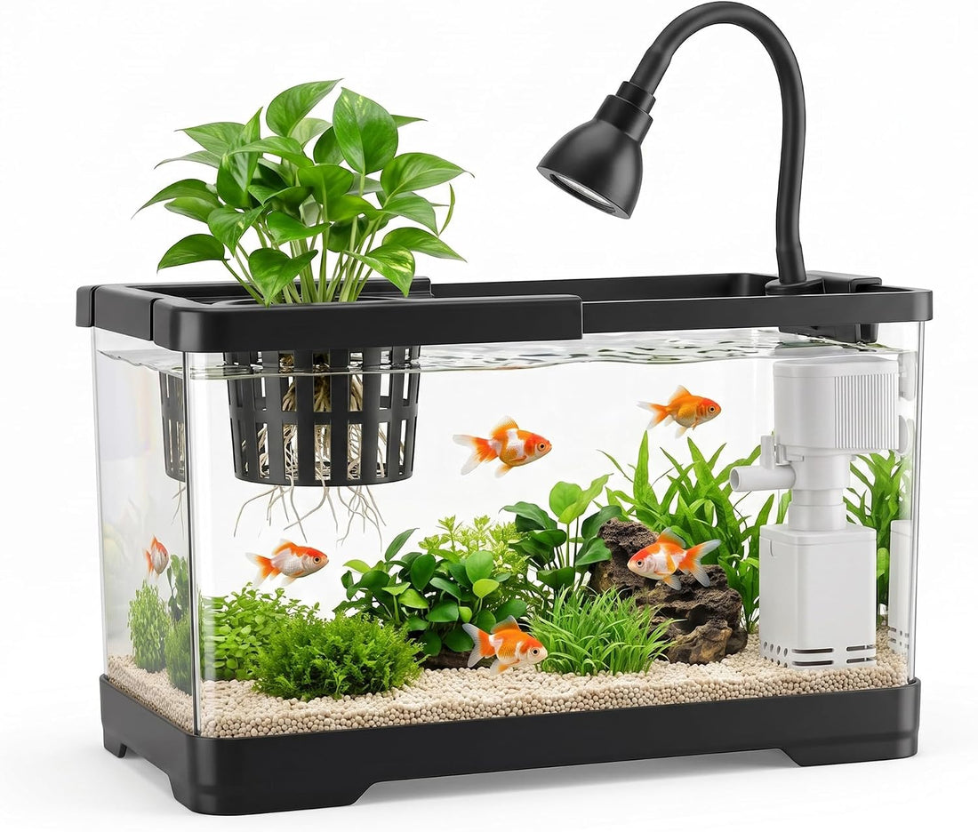 AS Fish Tank Aquarium with LED & 3-in-1 Pump for Betta, 3 Gal