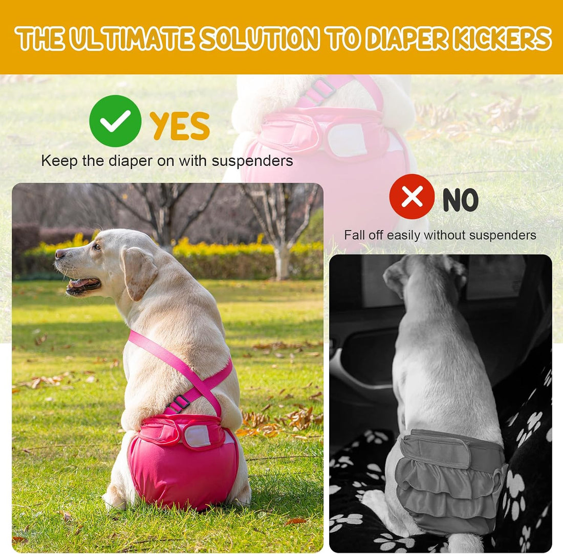 Avont 3 Pack Washable Female Dog Diaper with Suspender