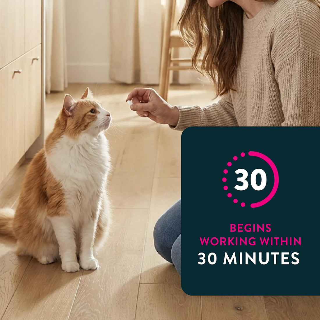 Capstar Cat Flea Treatment, Fast-Acting Oral Flea Treatment for Cats