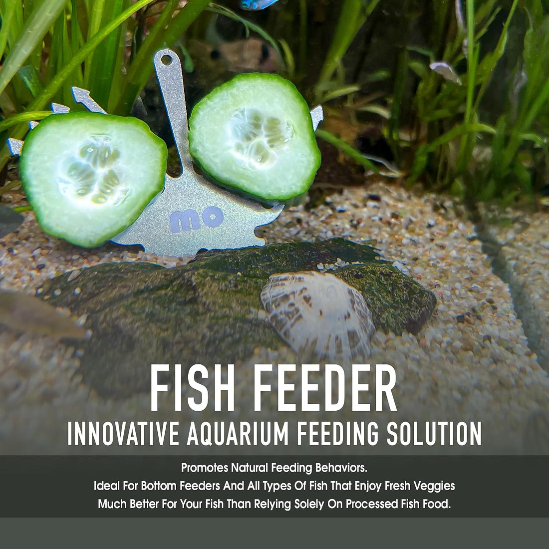 Aquarium Veggie Feeder Cucumber Holder for Pleco & Snails