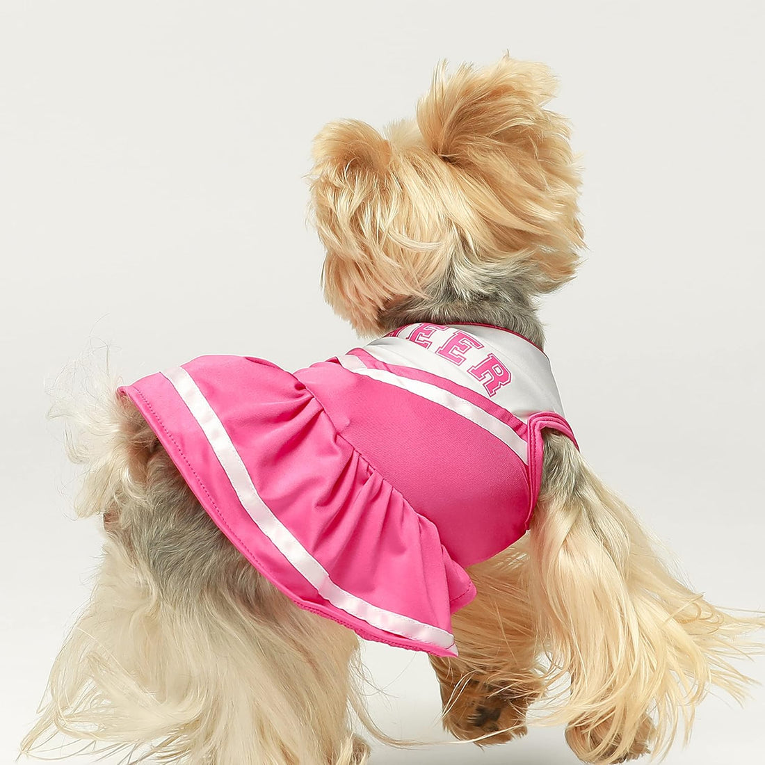 Fitwarm Cheerleader Dog Costume