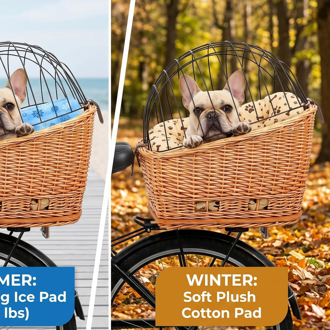 Dog Carrier for Bike Rear Rack Mount Small Pets 20 lbs