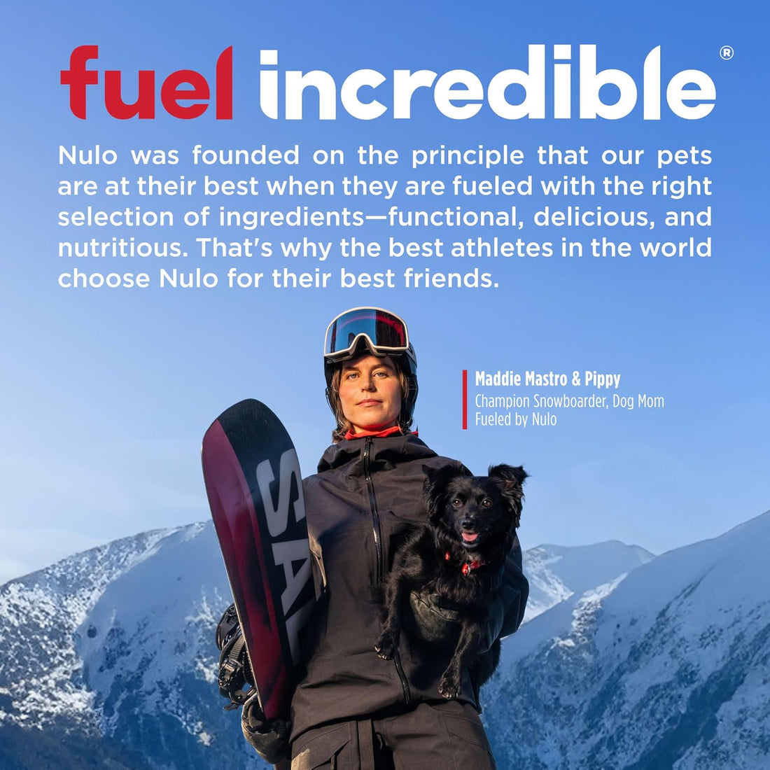 Nulo Freestyle Cat & Kitten Wet Cat Food Pouch
