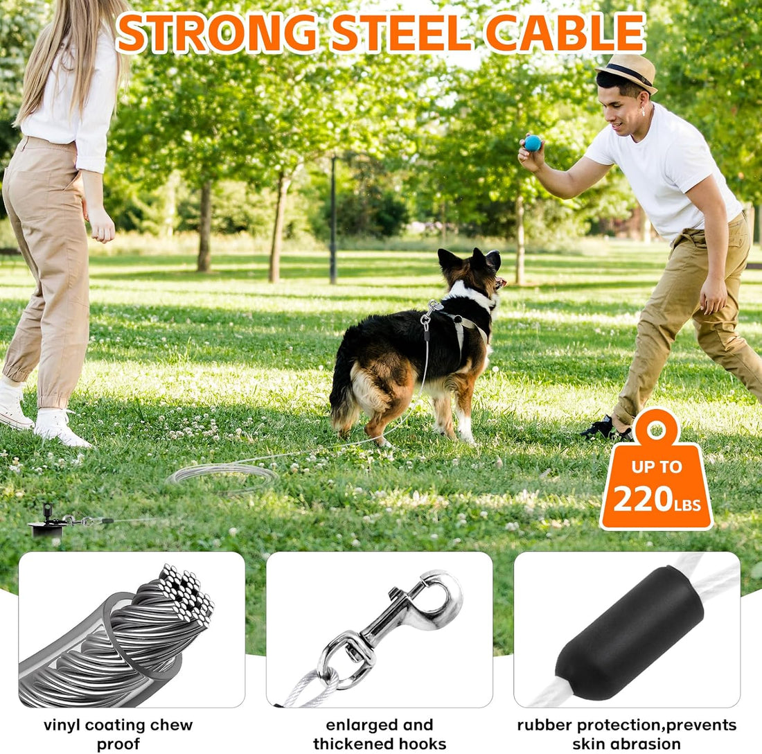 Snagle Paw Dog Tie Out Stake with Lock-Cap
