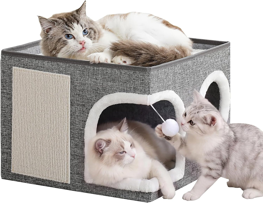 Cat Beds for Indoor Cats, Large Kitten Bed with Scratch Pad