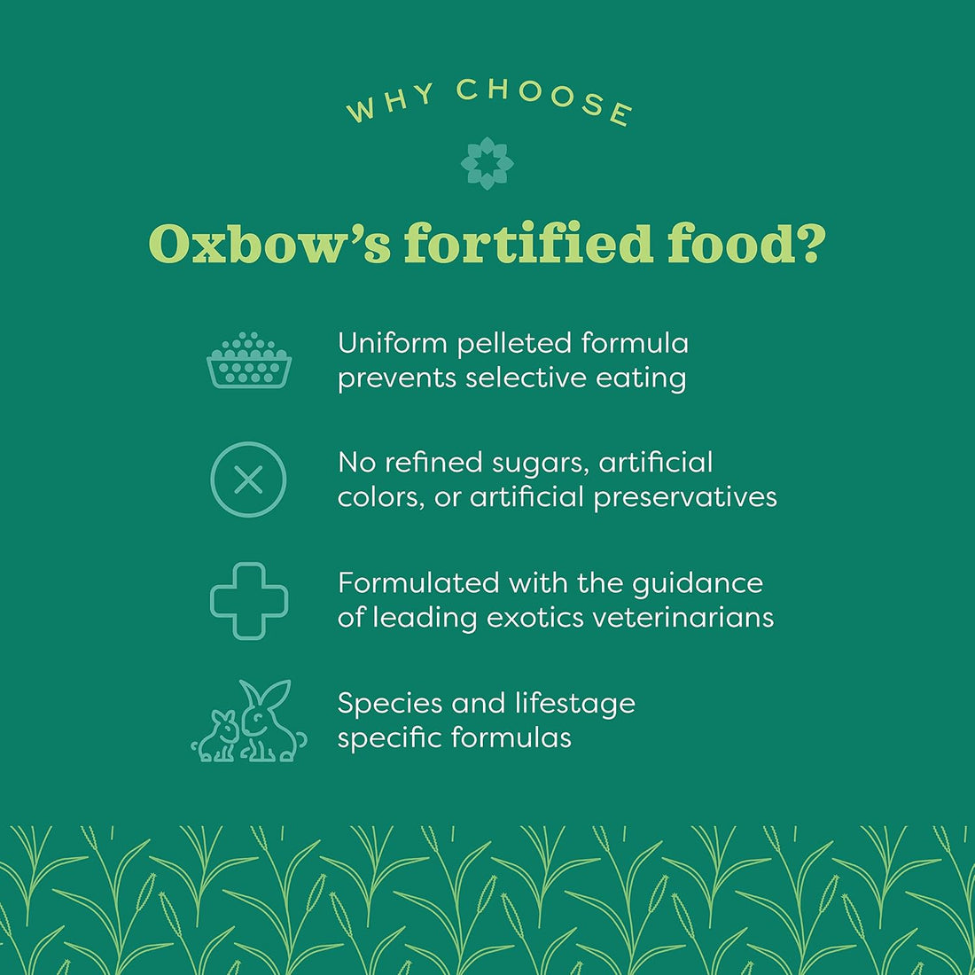 Oxbow Essentials Chinchilla Food, Made with Oxbow Alfalfa
