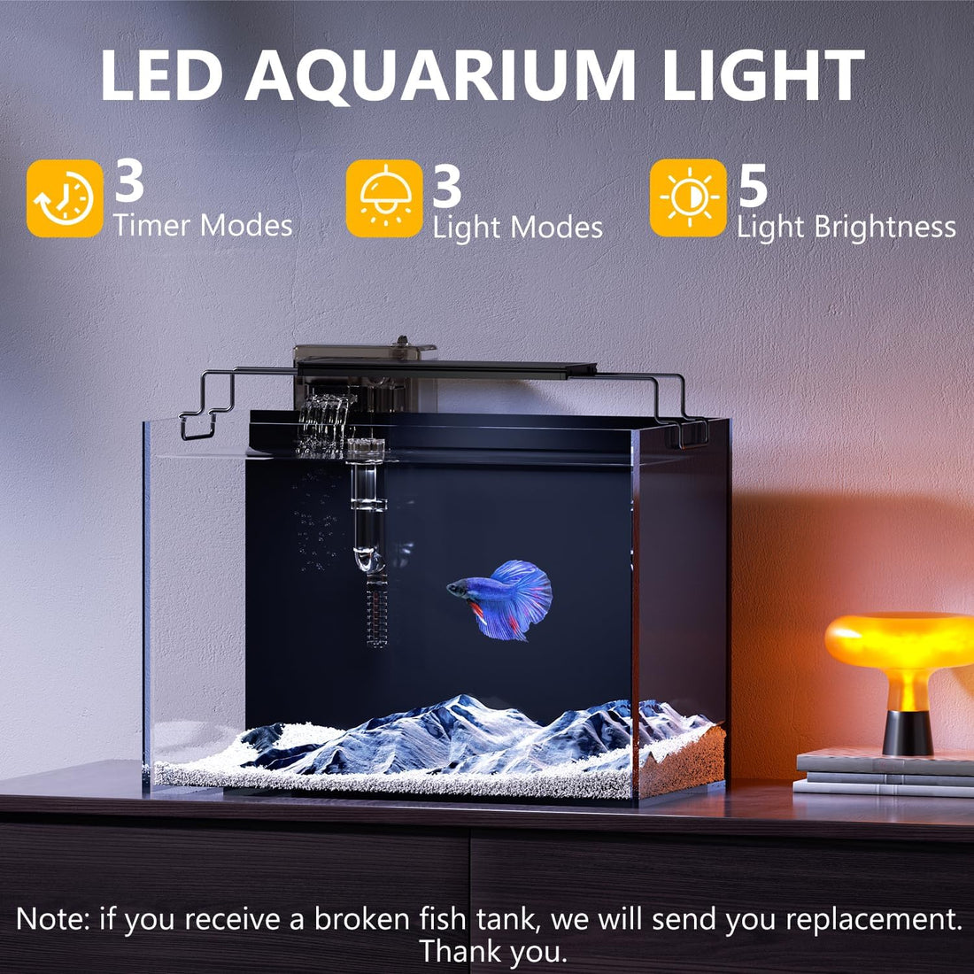 5 Gallon Fish Tank Kit with Filter Light with Timer, Lid Rimless Glass