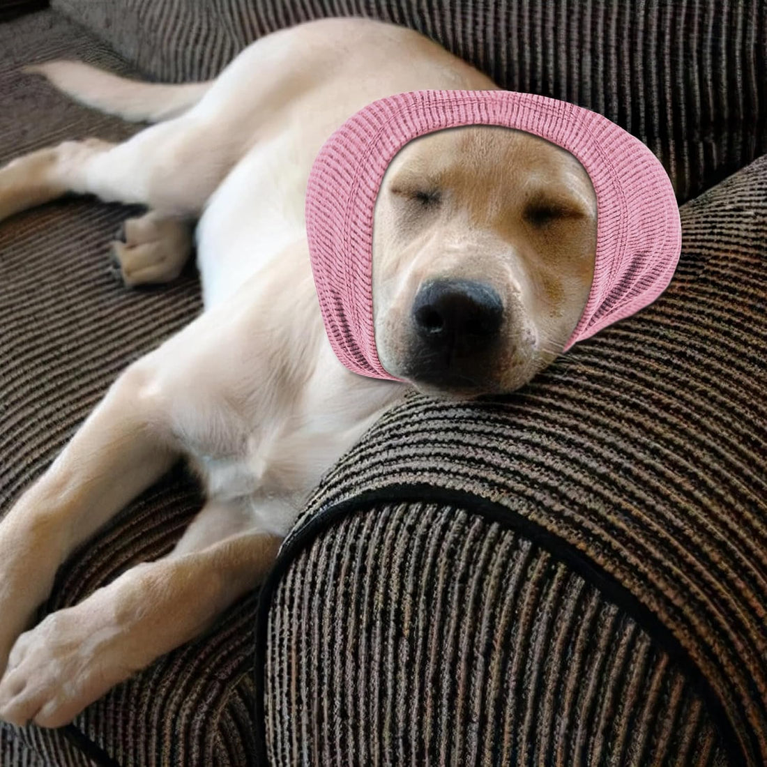 Rbenxia Dog Ear Muffs - Noise Protection & Warm Winter Ear Scarf