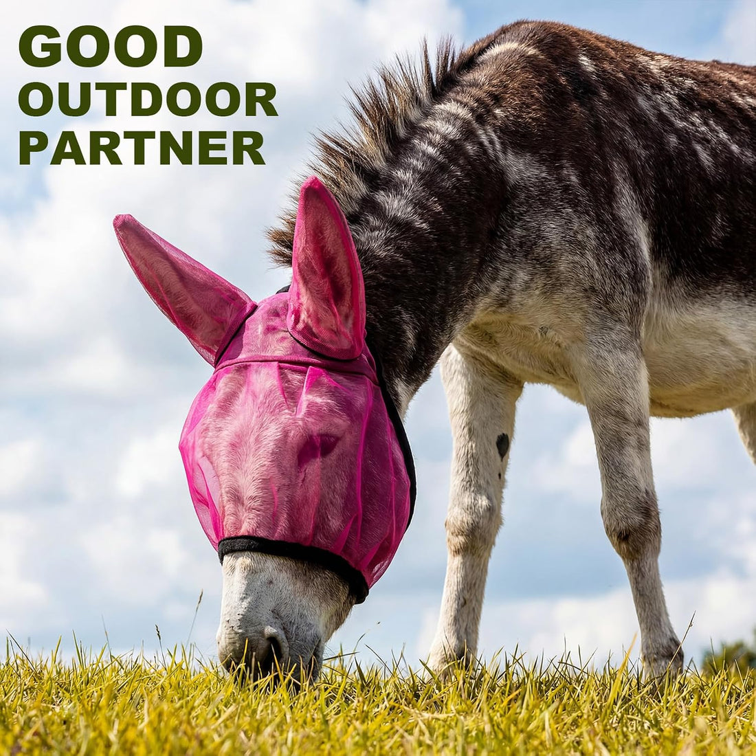 1 Pcs Mini Donkey Fly Mask with Ear Protection, Rose Red