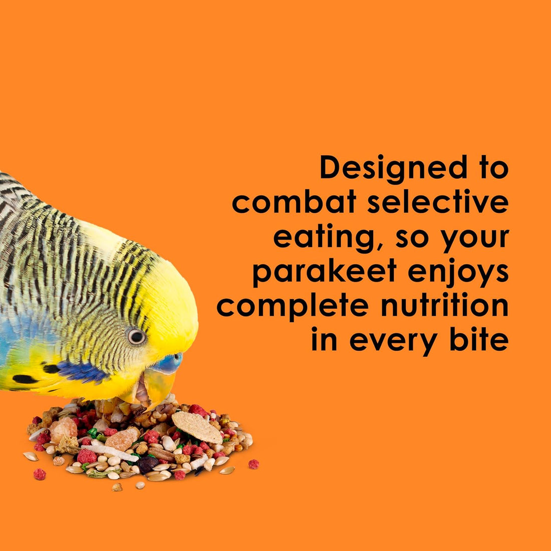 Kaytee Fiesta Parakeet Food, Nutritious and Fun Blend, Supports Skin