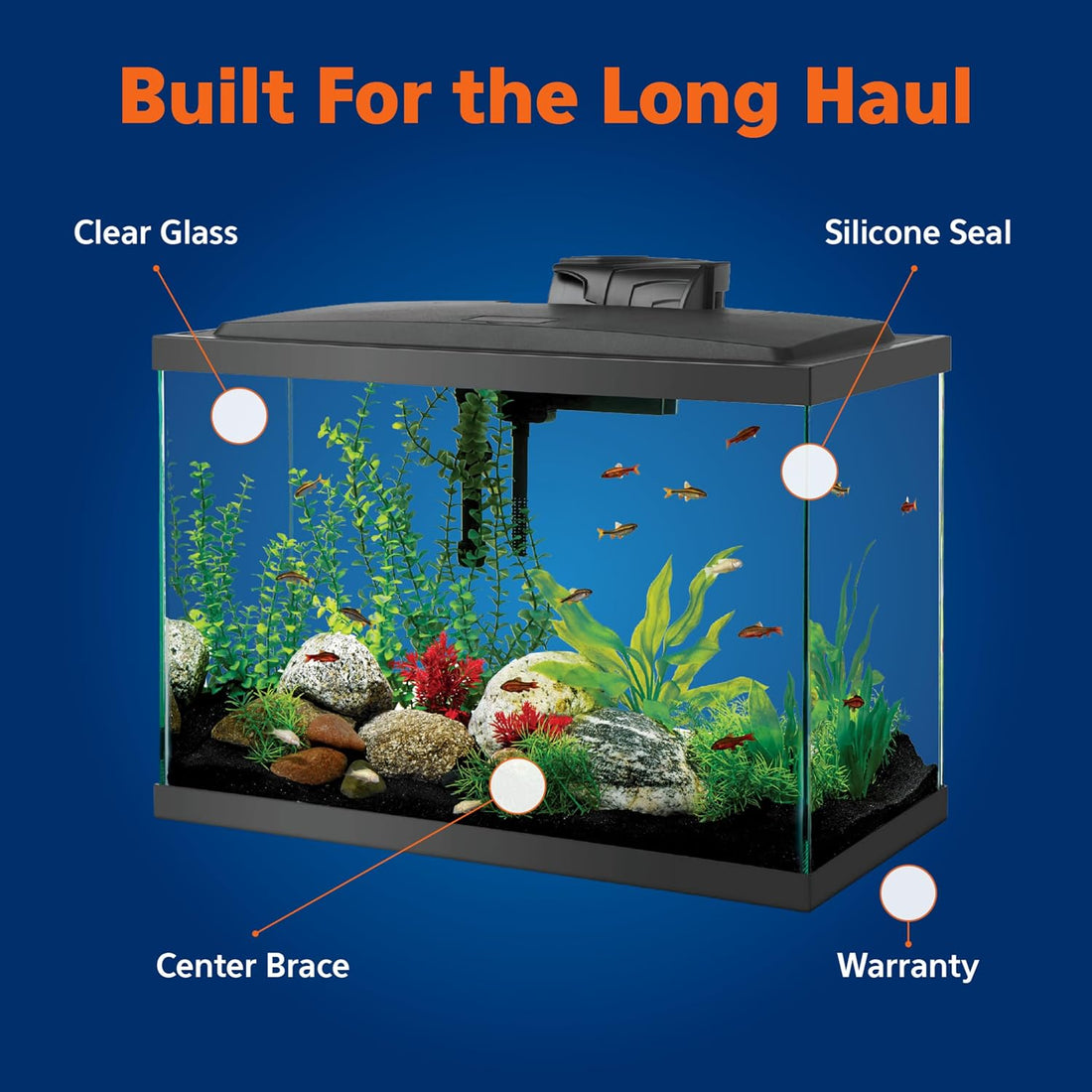 Aqueon Glass 20 Gallon Long Tank for Aquariums & Terrariums