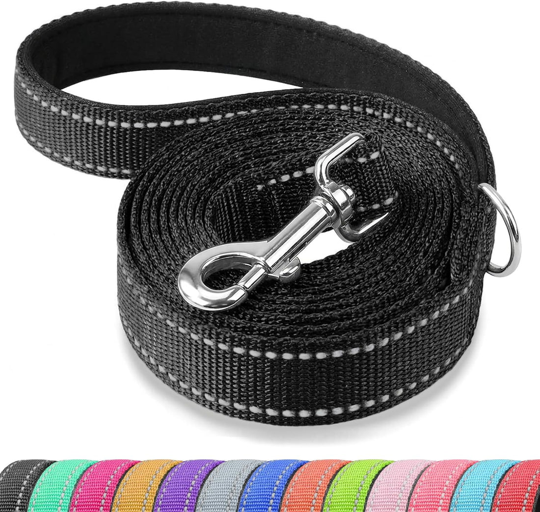 Reflective Dog Leash with Padded Handle for Medium Large Dogs