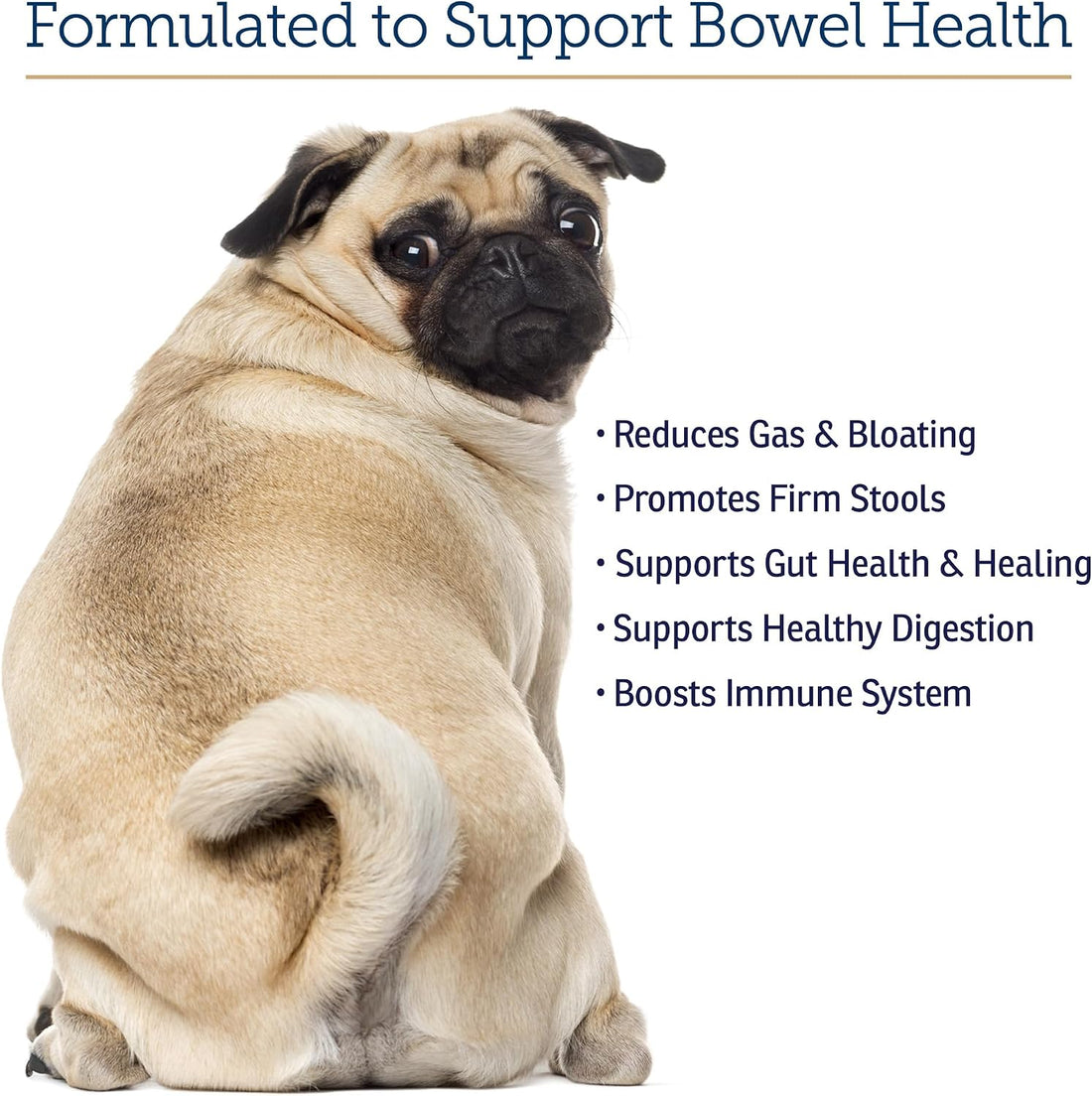Rx Vitamins NutriGest Capsules for Cats & Dogs