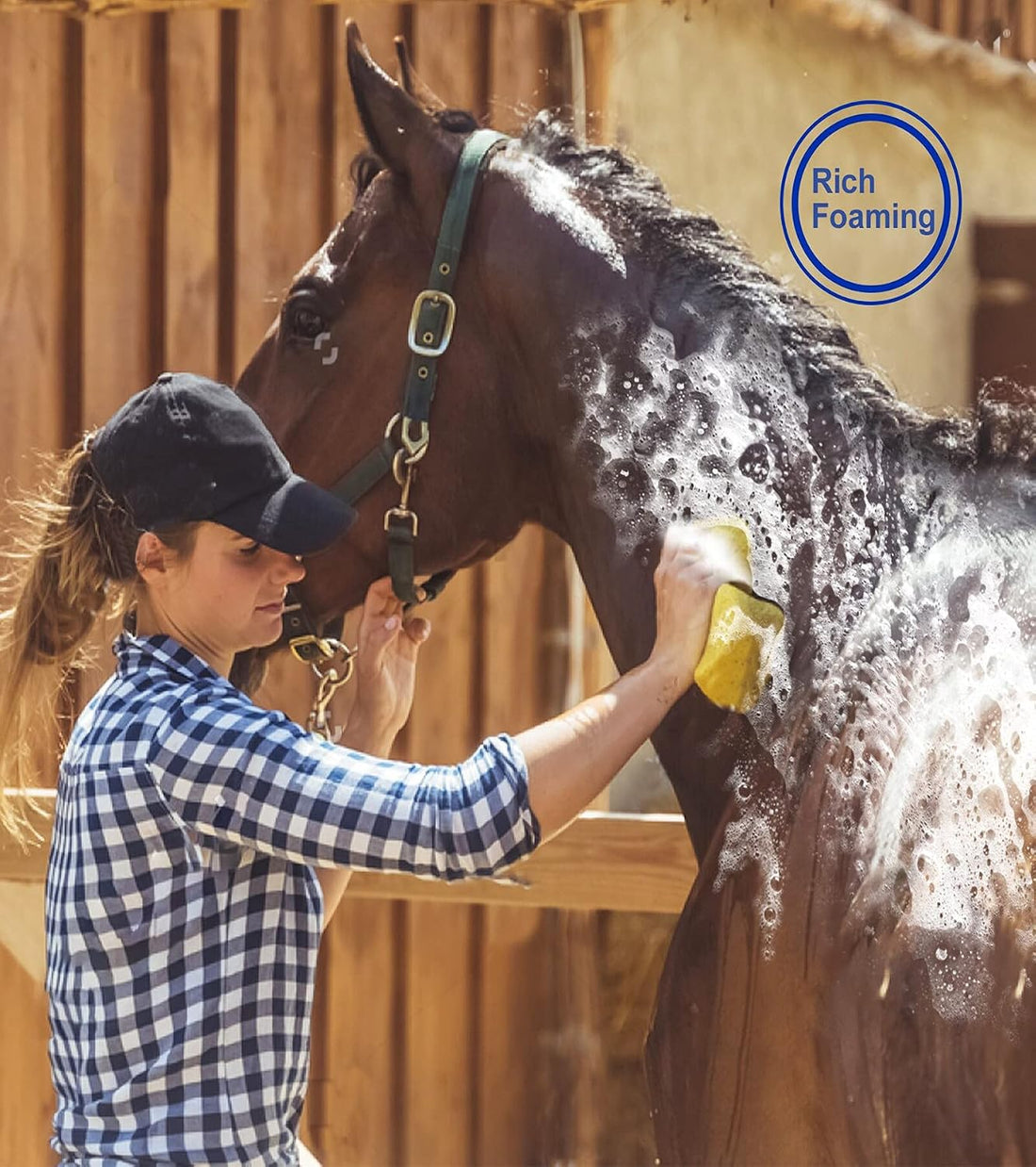 Horse Grooming Kit: Brushes, Storage Bag, Sweat Scraper, Mane Comb