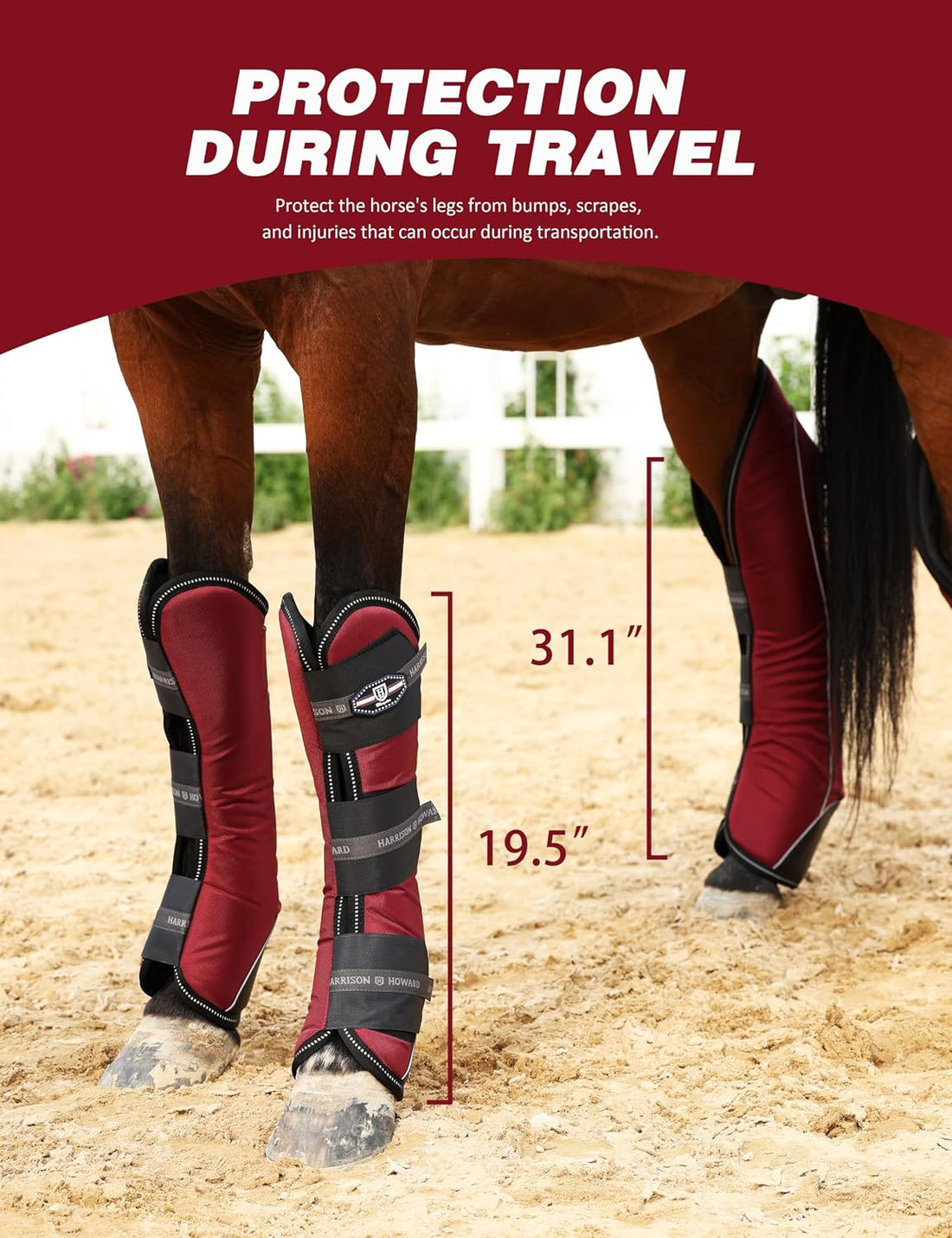 Harrison Howard Premium Shipping Boots for Horses Set of 4 Travel