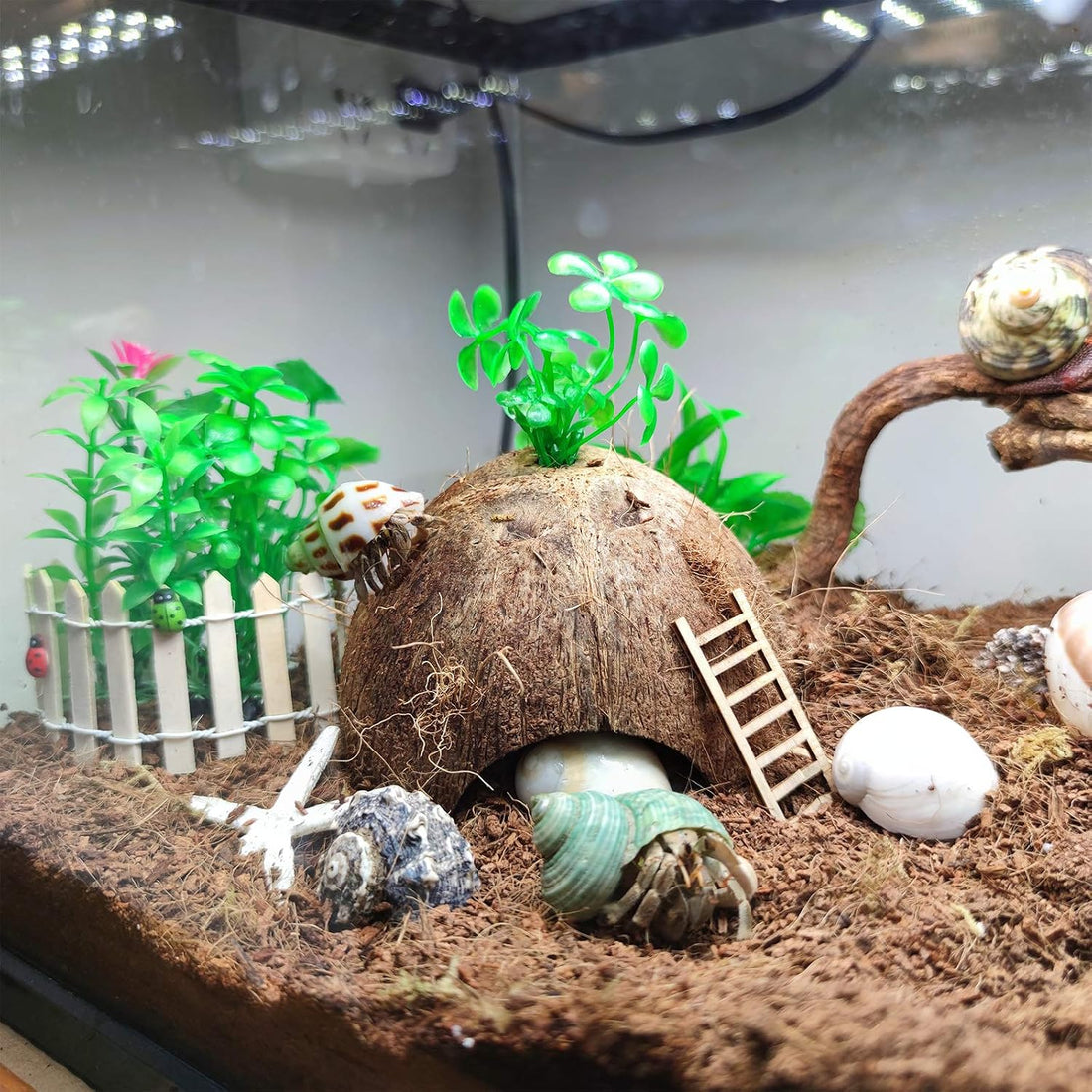 SINKOO 16PCS Hermit Crab Shells Growth, Hermit Crab Coconut Hut