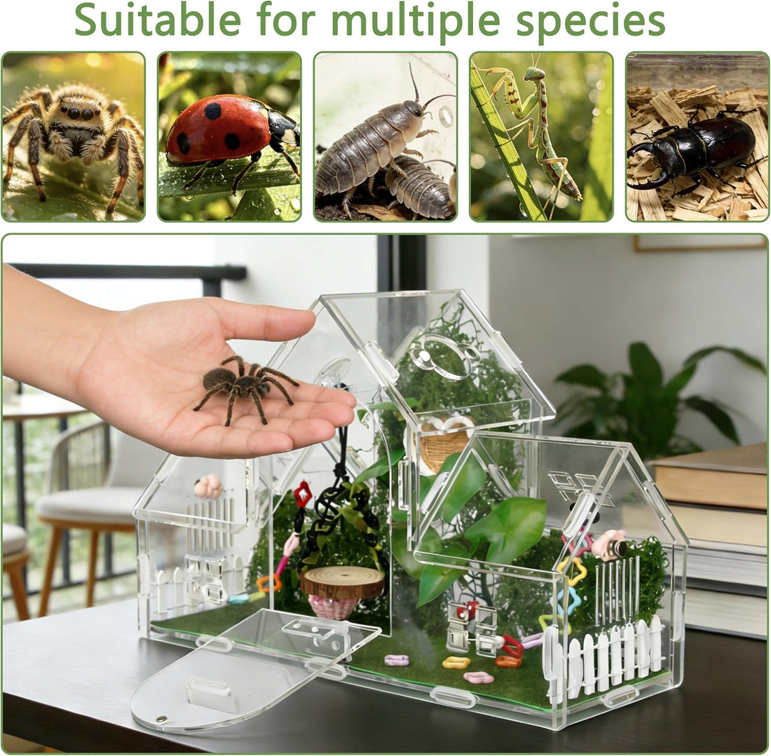 20-Piece Jumping Spider Enclosure Kit