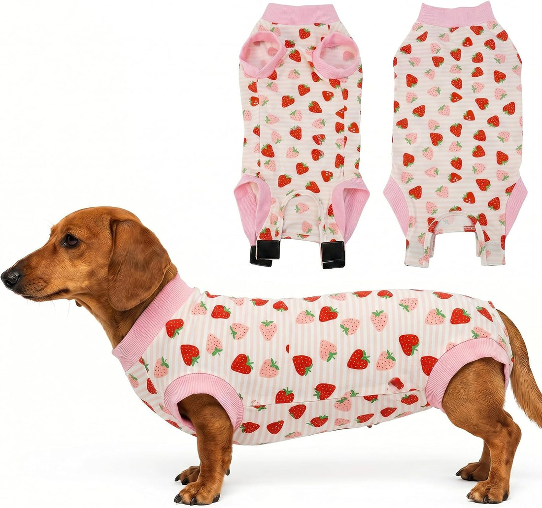 Dog Surgery Recovery Suit Spay Recovery Onesie for Female Male Dogs