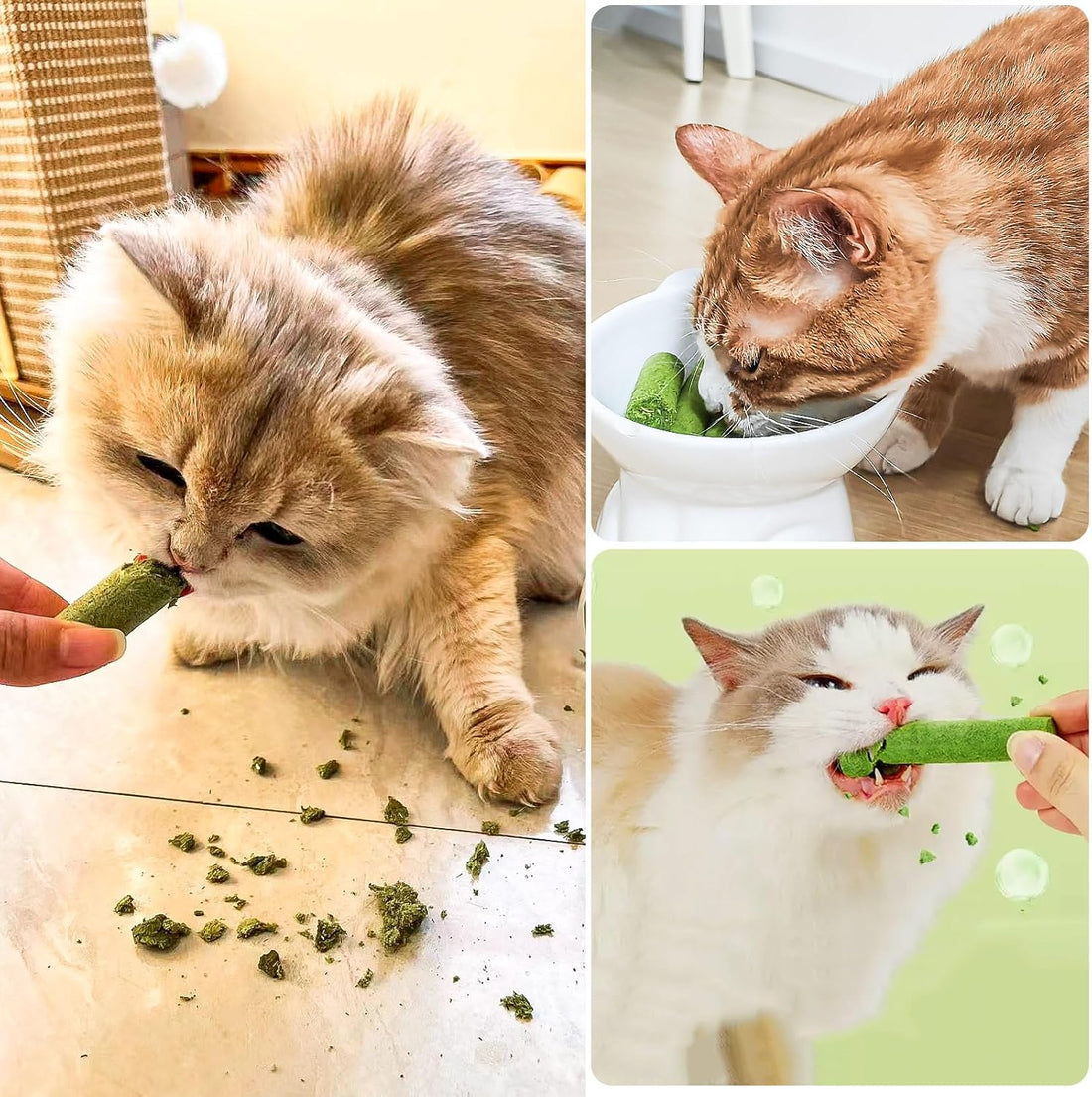 Freezed Drying Cat Grass Stick