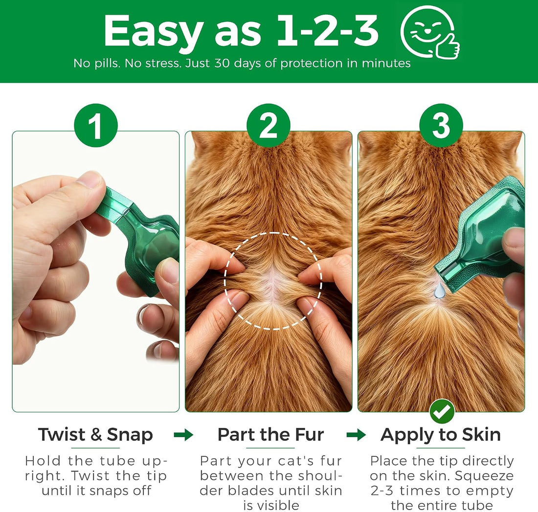 Flea and Tick for Cats, Cat Flea & Tick Topical Drops, 6 pc 8+ Weeks