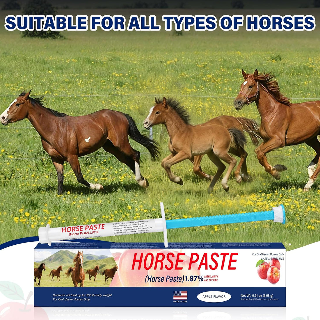 6 Pack (6.08g) Apple Flavored Oral Paste for Horses