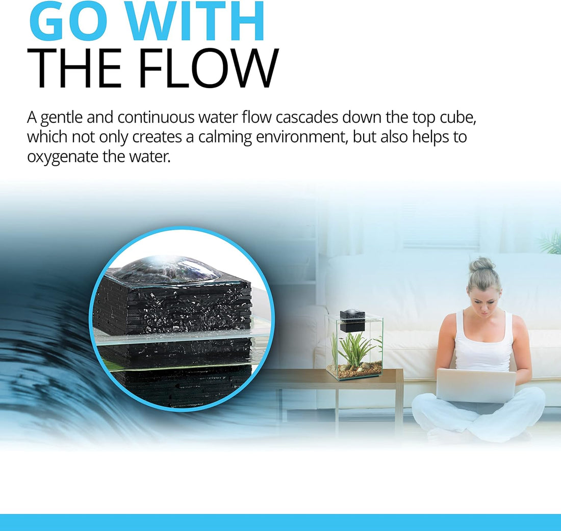 Fluval Chi II Series Aquarium Set, 5-Gallon