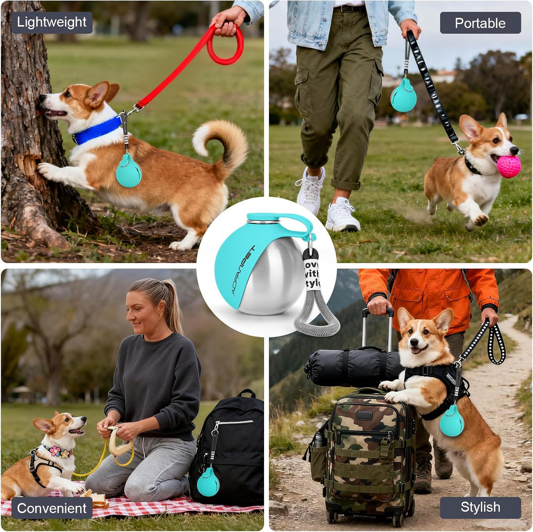 AOFANPET Portable Dog Water Bottle 10oz Stainless Steel Travel Dog