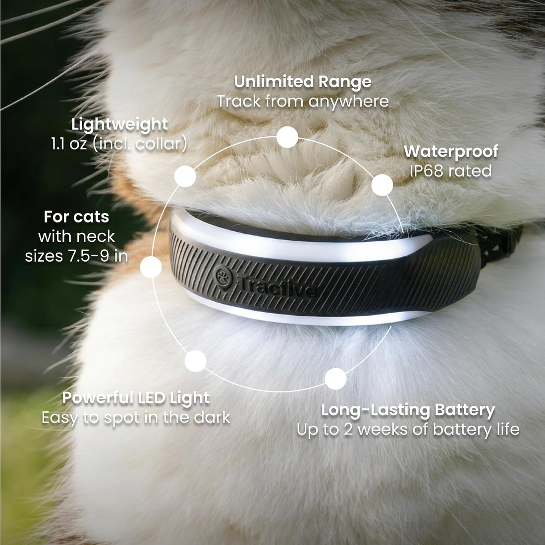 Tractive Smart Cat GPS Tracker Collar