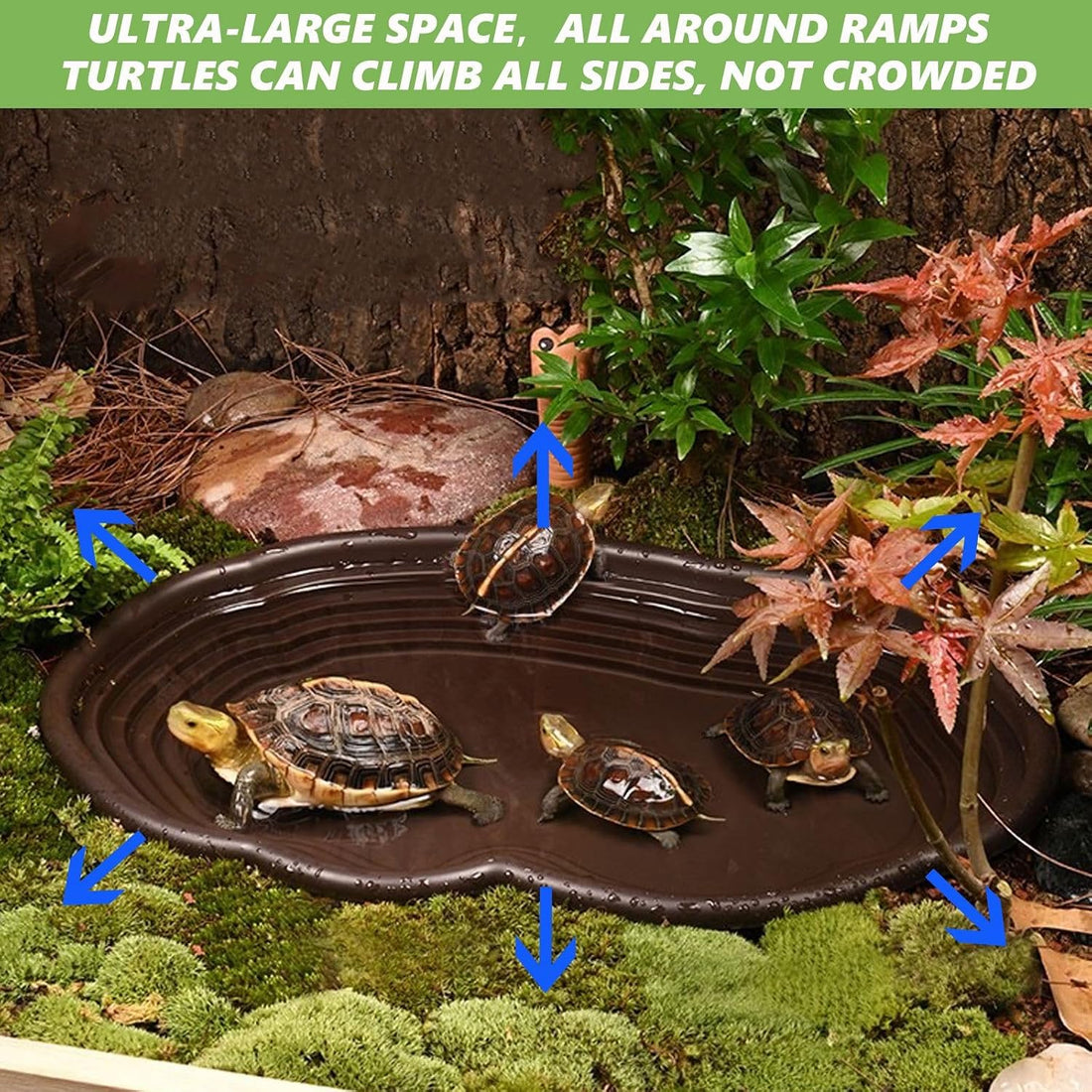 3PCS Tortoise Water Bowl with Ramp Leaf Tortoise Water Food Dish