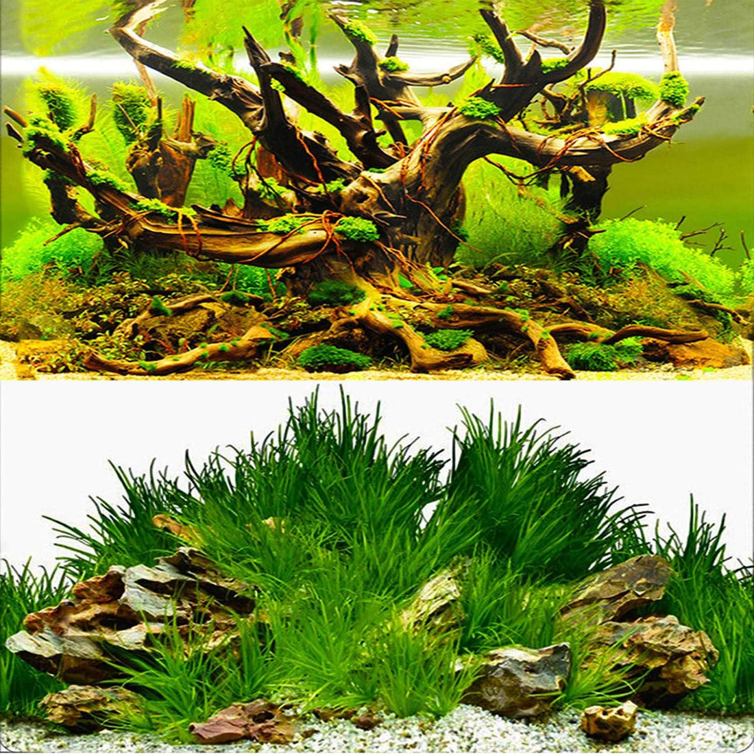 ELEBOX Aquarium Background Poster